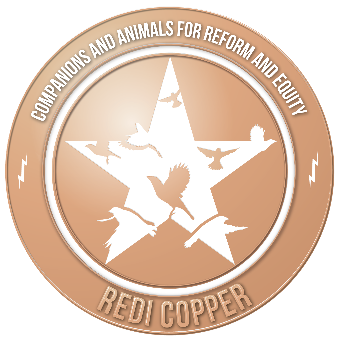 CARE REDI Copper certified
